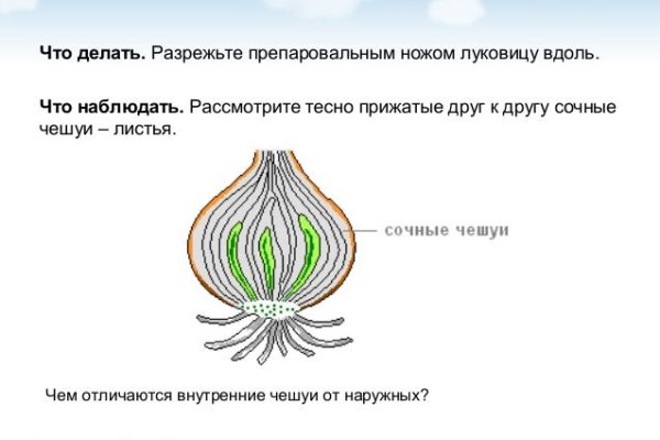 Кракен рабочая ссылка тор