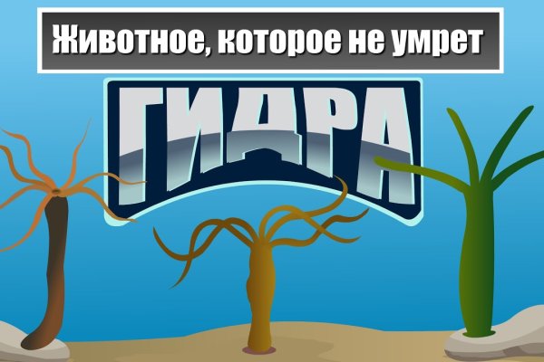 Кракен маркетплейс телеграм