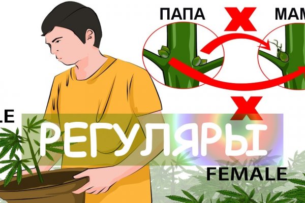 Что за кракен маркет
