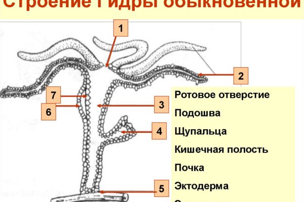 Кракен ссылка оригинал