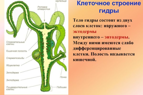 Что такое кракен маркетплейс в россии