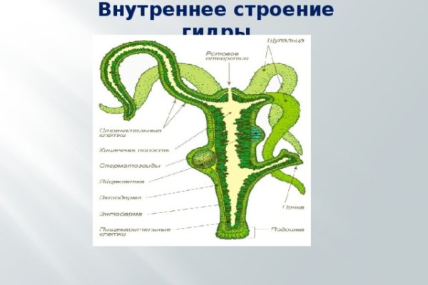 Как купить наркотик в кракен