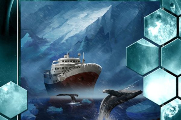 Kraken 24 top