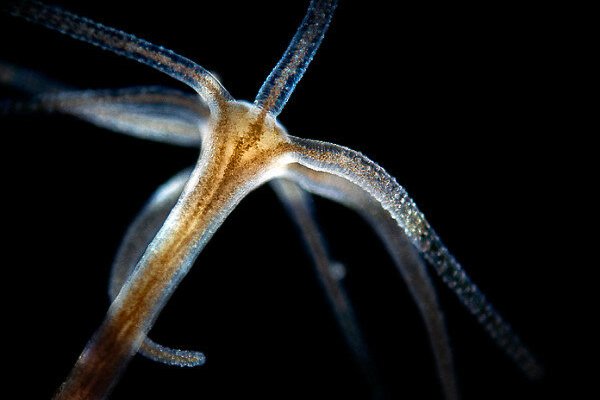 Как зайти на kraken маркетплейс