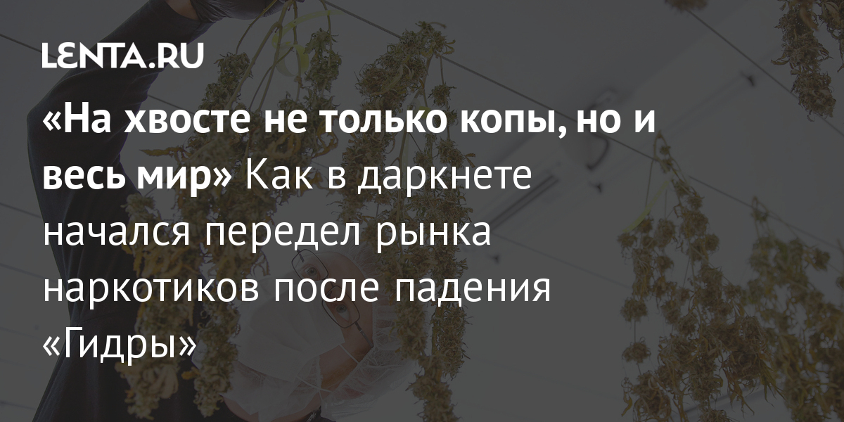 Kraken смылка
