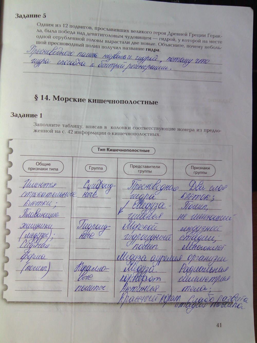 Не могу зайти на сайт кракен
