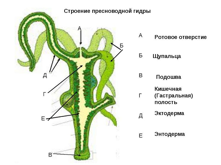 Восстановить аккаунт на кракене